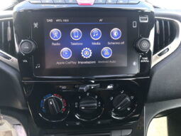 
										LANCIA Ypsilon 1.0 FireFly 5p.S&S Hybryd Gold full									