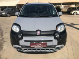 
										FIAT Panda 1.0 FireFly S&S Hybrid City Cross full									